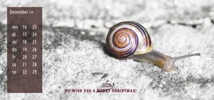 We wish you a slow christmas!